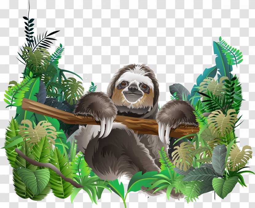 Sloth Euclidean Vector Rainforest - Jungle - Animal Transparent PNG