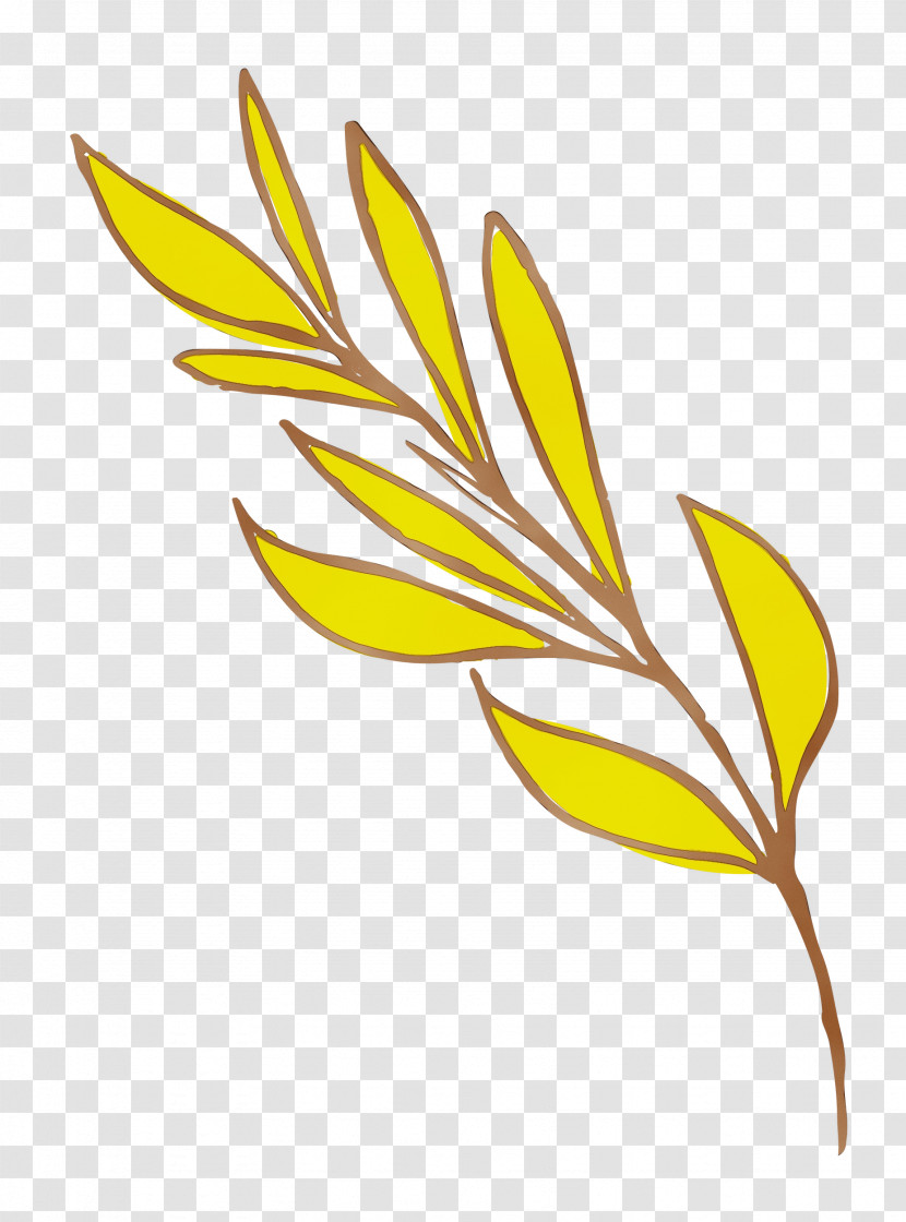 Flower Plant Stem Leaf Yellow Line Transparent PNG