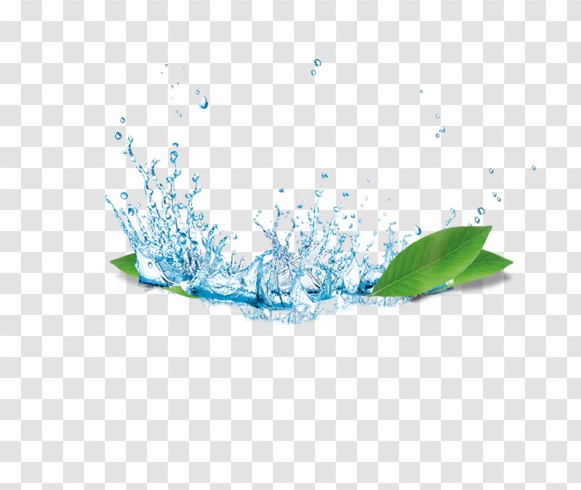 Green Leaf Background - Plant Transparent PNG