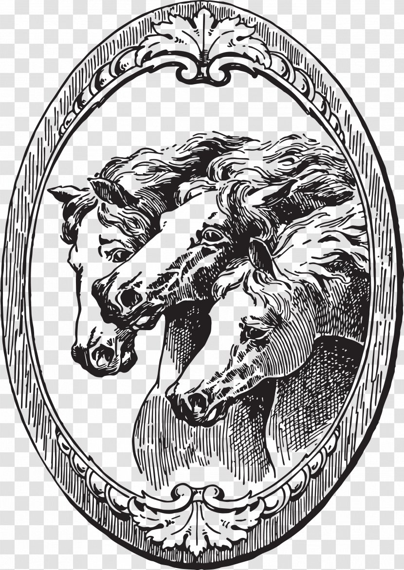 Mustang Pony Wild Horse Clip Art - Drawing - Illustrations Transparent PNG
