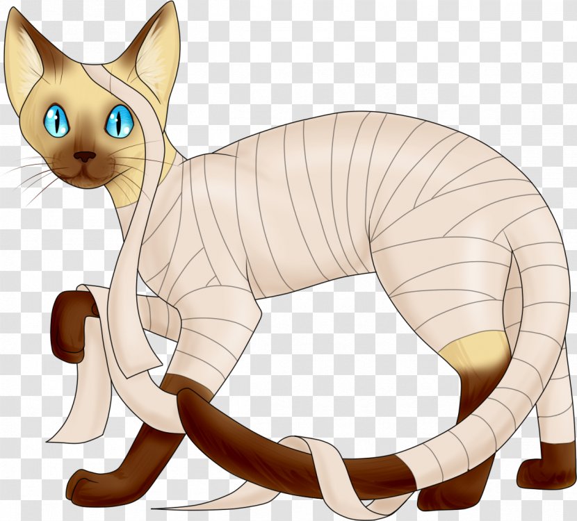 Whiskers Kitten Cat Clip Art - Small To Medium Sized Cats - Mummy Transparent PNG