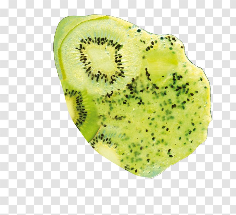 Kiwifruit - Organism Transparent PNG