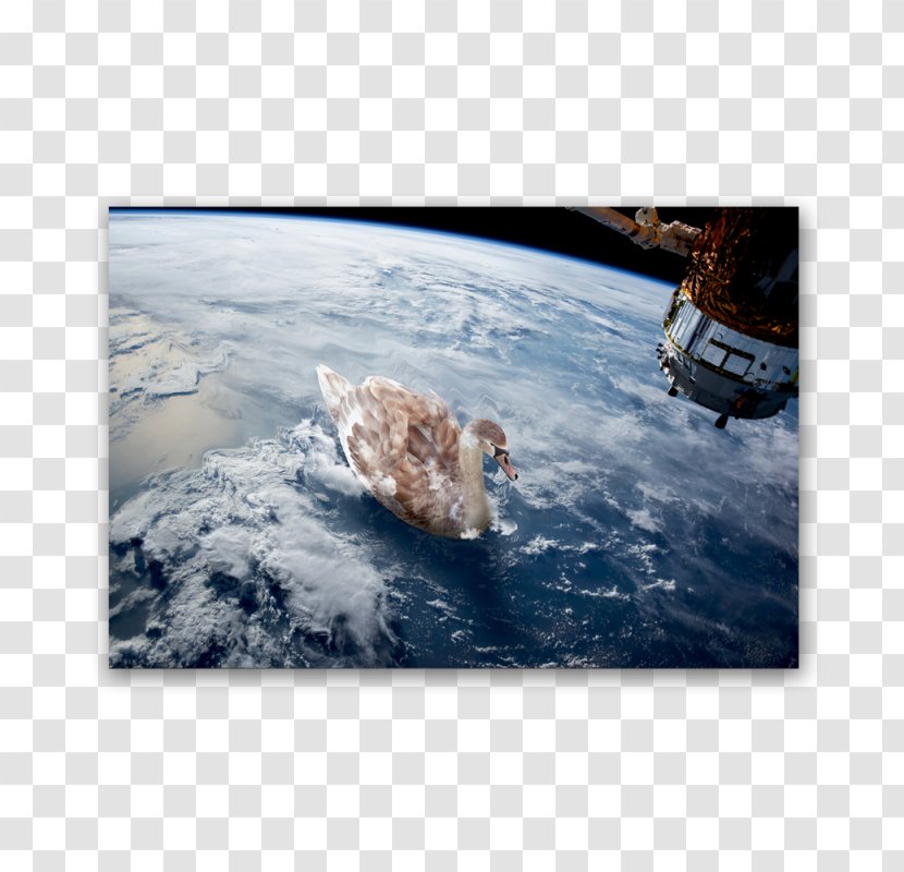 International Space Station Shuttle Program Earth NASA Debris - Nasa Transparent PNG