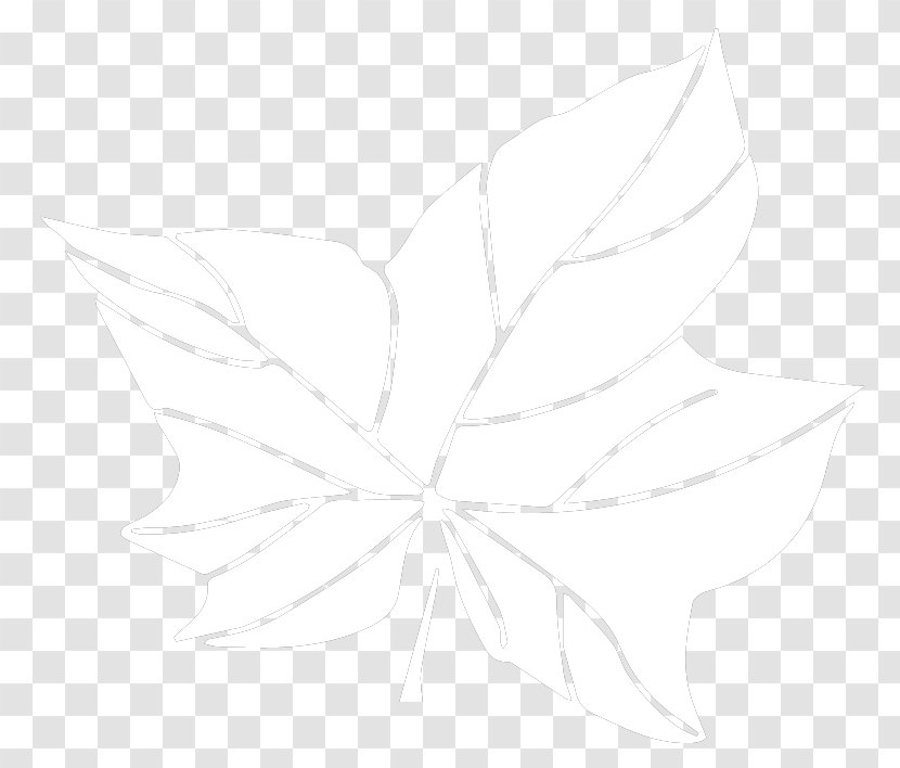 Petal Drawing White /m/02csf Leaf - Flower - Tree Overlooking Transparent PNG