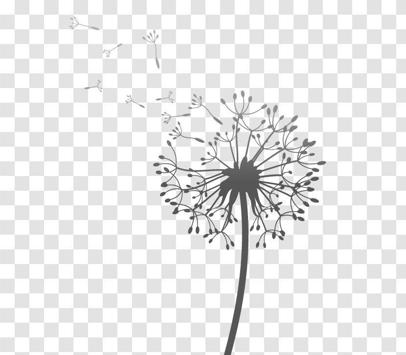 Monochrome Photography Black And White - Dandelion Bottom Transparent PNG