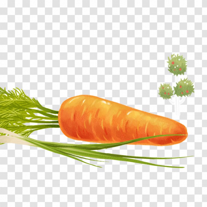 Baby Carrot Vegetable - Elements Transparent PNG