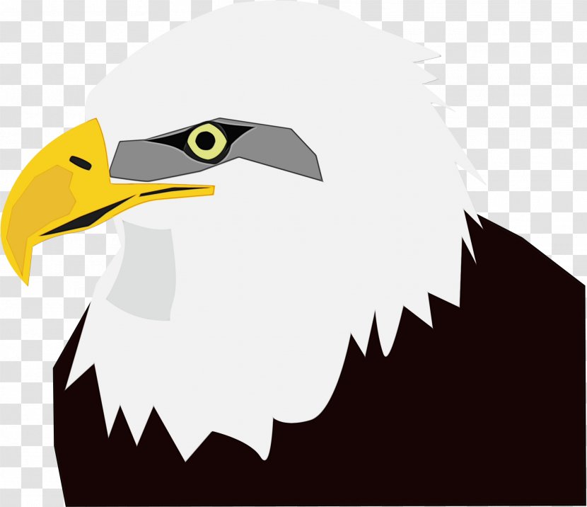 Eagle Logo - Beak - Falconiformes Transparent PNG
