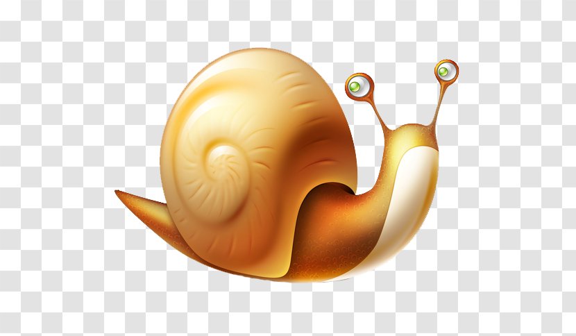 Snail Download ICO Icon - Software - Vector Transparent PNG