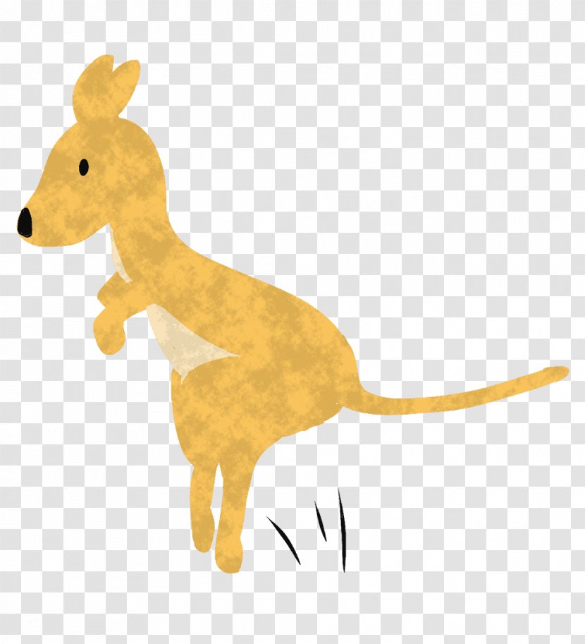 Kangaroo Macropods Giraffe Illustration Animal - Boxing Transparent PNG