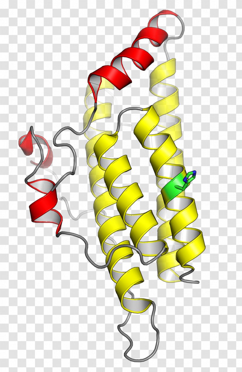 Histidine Phosphotransfer Domain Kinase Protein Amino Acid - Phosphotransferase Transparent PNG