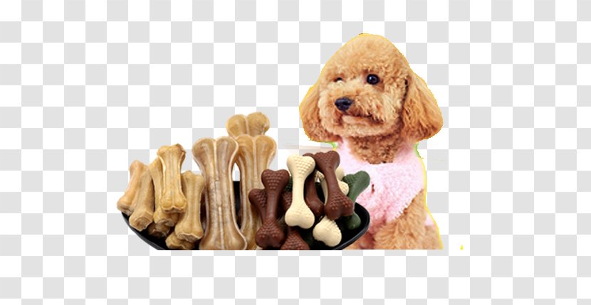 Cockapoo Cavapoo Goldendoodle Puppy Dog Breed - Tree - Teddy And Bones Transparent PNG