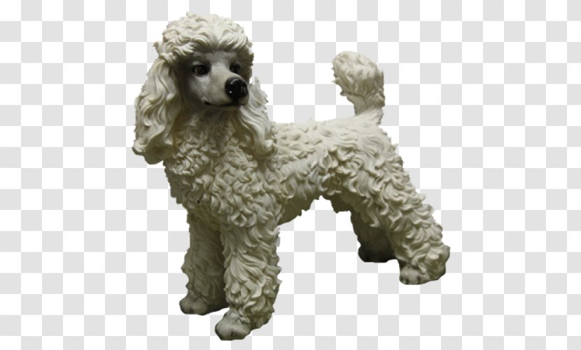 Standard Poodle Miniature Toy Puppy - Dog Transparent PNG