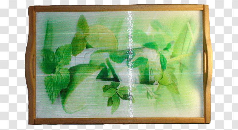 Watercolor Painting Modern Art Picture Frames - Wood Tray Transparent PNG