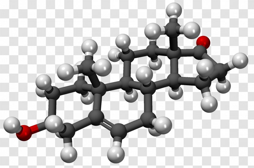 Dehydroepiandrosterone Sulfate Androstenedione Molecule Hormone - Cartoon - Silhouette Transparent PNG