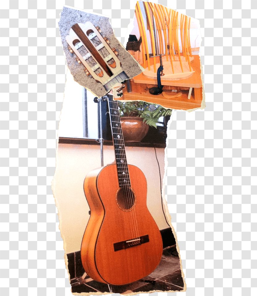 Tiple Acoustic Guitar Bass Cuatro Ukulele - Flower Transparent PNG