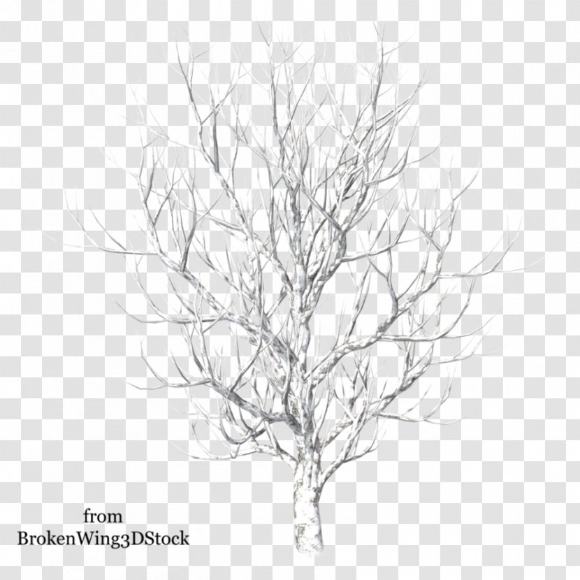 Tree Winter Drawing Snow - Shrub Transparent PNG