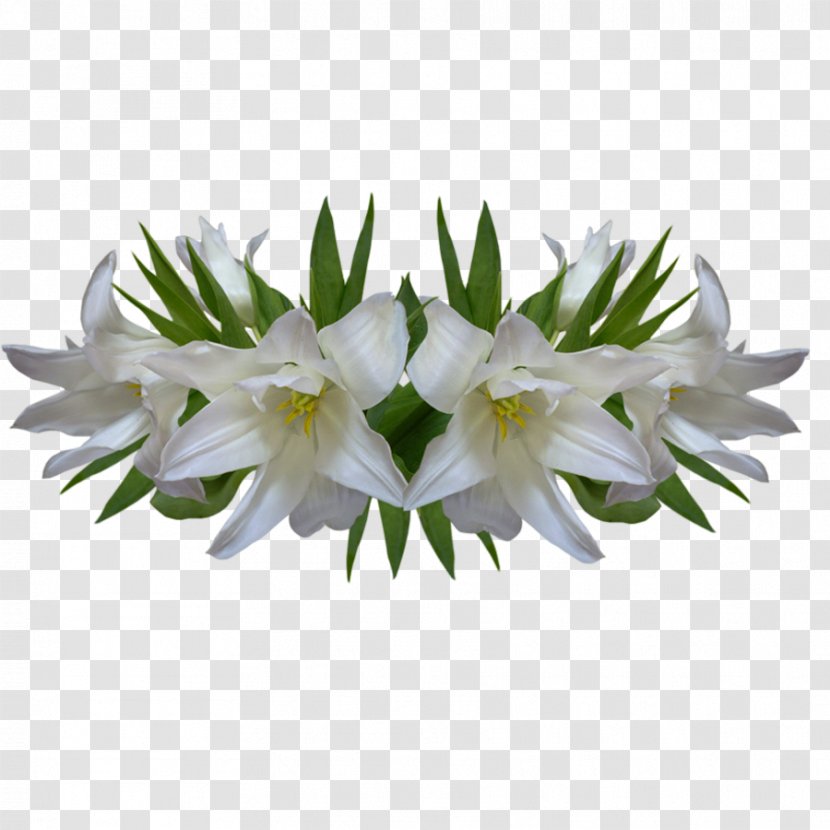 Lilium Flower - Flowerpot - Lily Elegant Ornament Transparent PNG