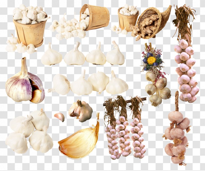 Garlic Condiment Spice - Ajoajo Transparent PNG
