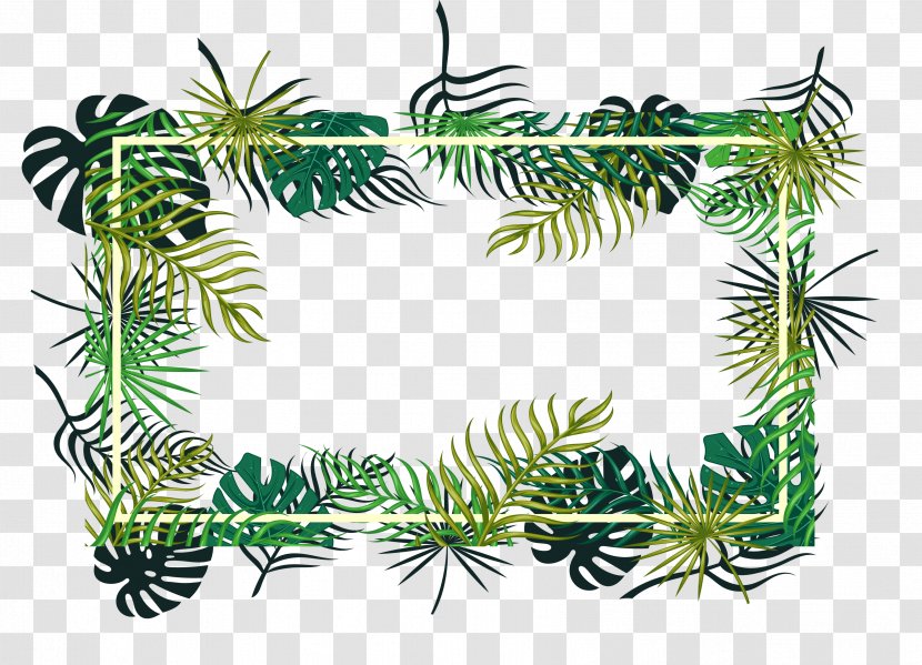 Picture Frames Leaf Decorative Arts Palm Trees Design - Vegetation Transparent PNG
