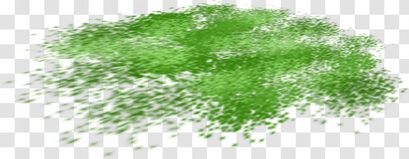 Grasses Tree Family - Green - Ucket Transparent PNG