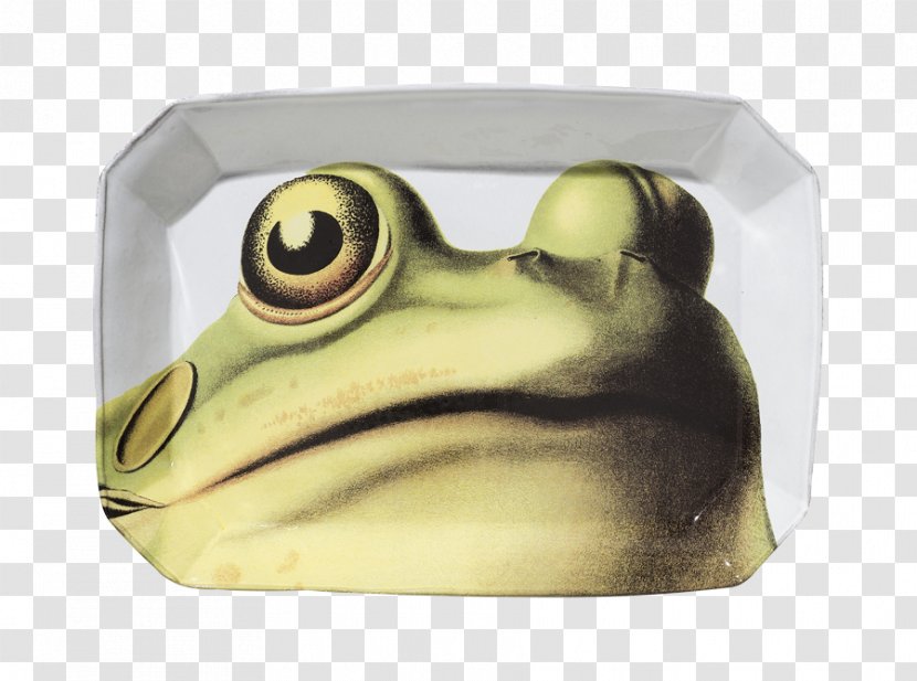 True Frog Plate Mug Tableware - Platter Transparent PNG