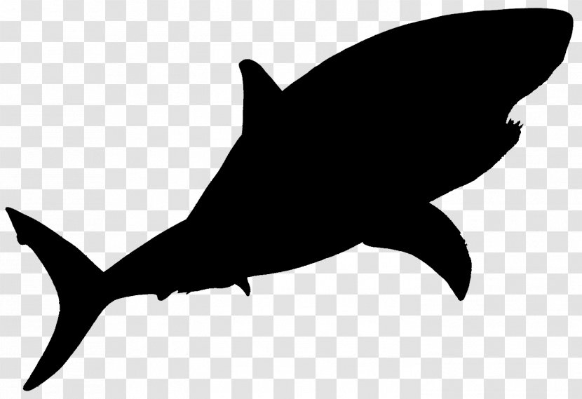 Shark Clip Art Fauna Silhouette Marine Mammal - Bottlenose Dolphin Transparent PNG