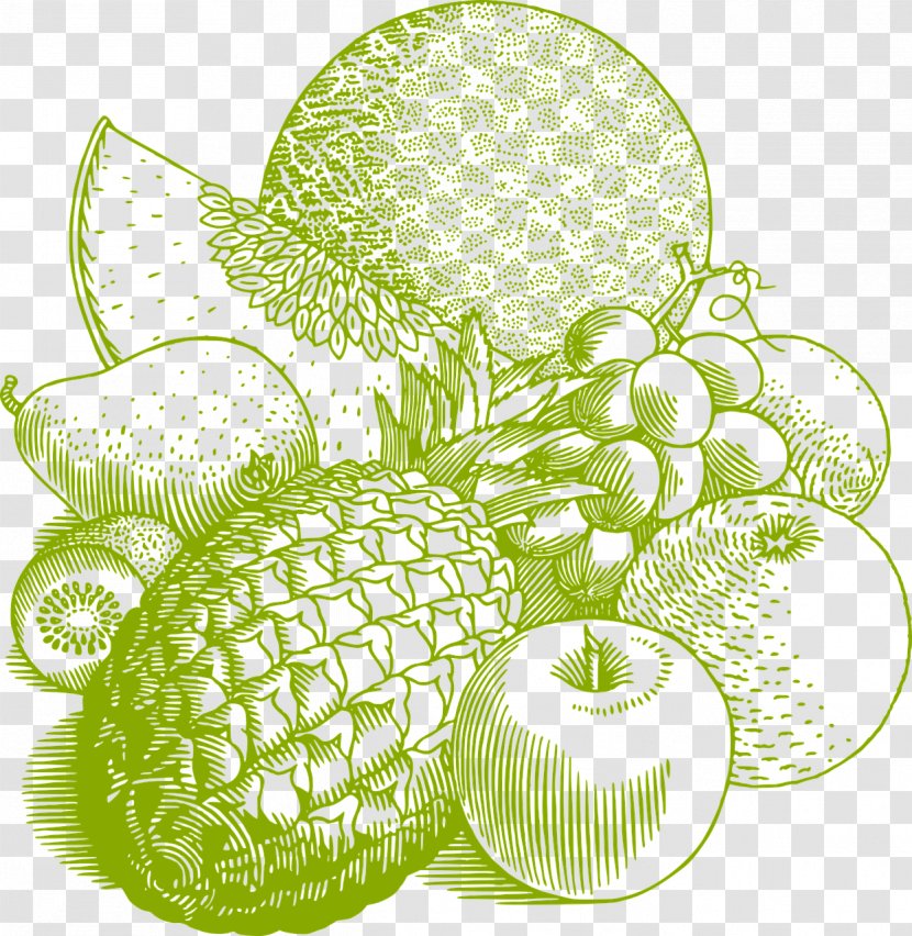 Fruit Pineapple Cooking Bowl - Plant - Cabbage Transparent PNG