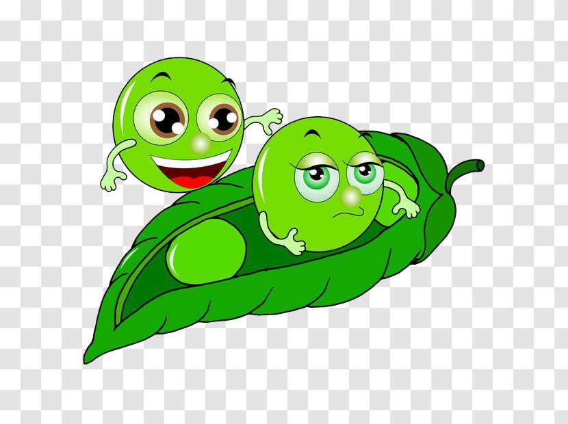 Pea Soybean Cartoon - Legume - Baby Transparent PNG