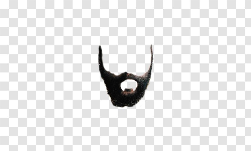 Beard Euclidean Vector Icon - Moustache - False Image Transparent PNG
