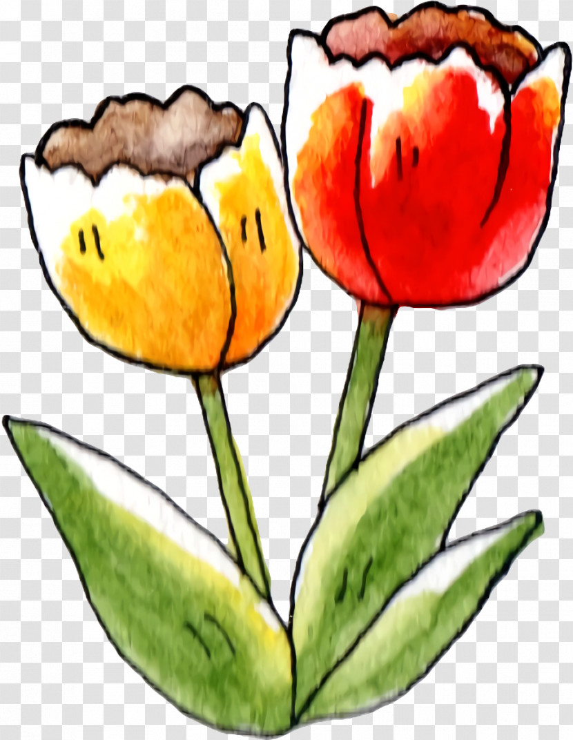Tulip Plant Stem Cut Flowers Petal Herbaceous Plant Transparent PNG