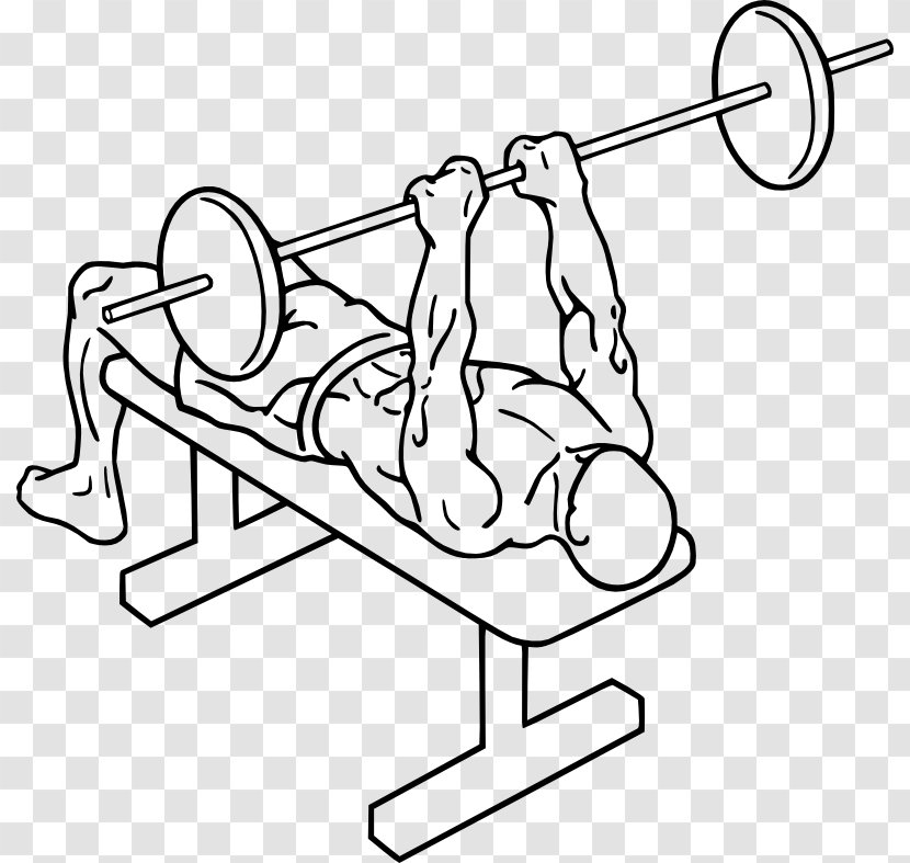 Bench Press Lying Triceps Extensions Brachii Muscle Exercise - Heart Transparent PNG