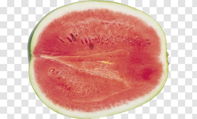 Watermelon Seedless Fruit DepositFiles IFolder Archive File Transparent PNG
