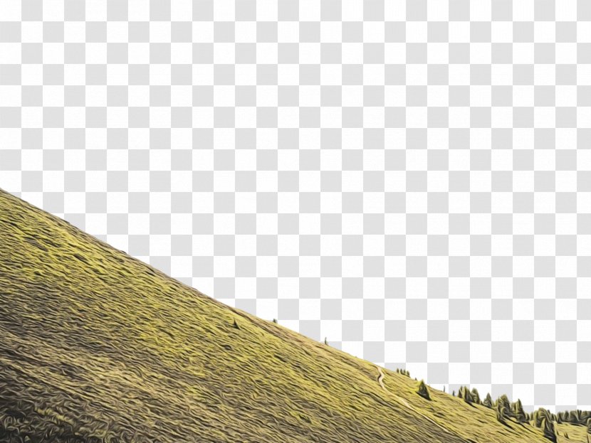 Sky Grass Grassland Green Hill - Highland - Pasture Wall Transparent PNG