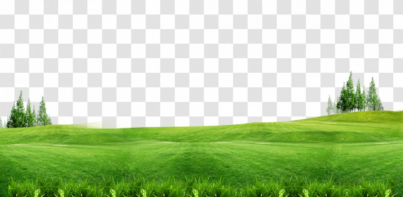 Download Lawn Gratis Wallpaper - Tree - Green Grass Background Free Of Material Transparent PNG