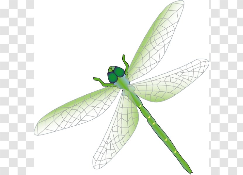 Dragonfly Clip Art - Line - Outline Transparent PNG