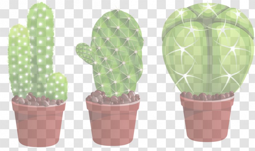Cactus - Flower Succulent Plant Transparent PNG