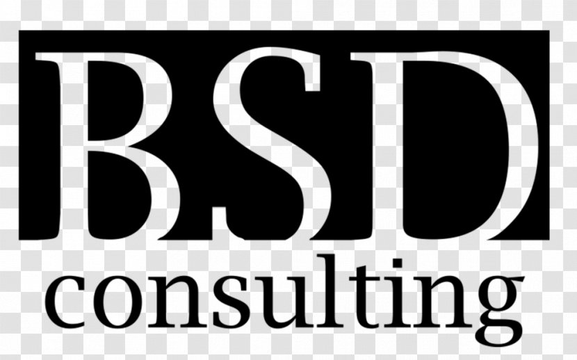 Management Consulting Company Consultant Firm PA Group - Strategy - Business Transparent PNG