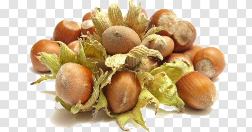 Hazelnut Nuts Walnut Food - Peanut Transparent PNG