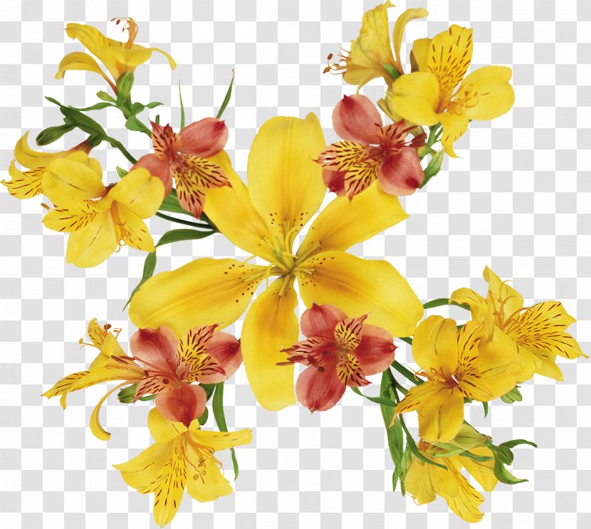 Watercolor: Flowers Painting Lilium - Plant - Lily Transparent PNG
