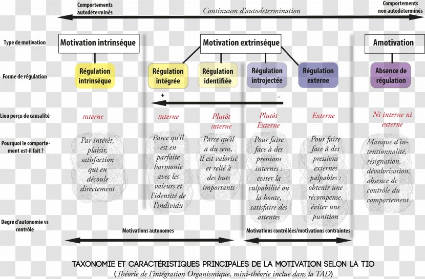 Self-determination Theory Motivation Flow Schema - Text - Organism Transparent PNG