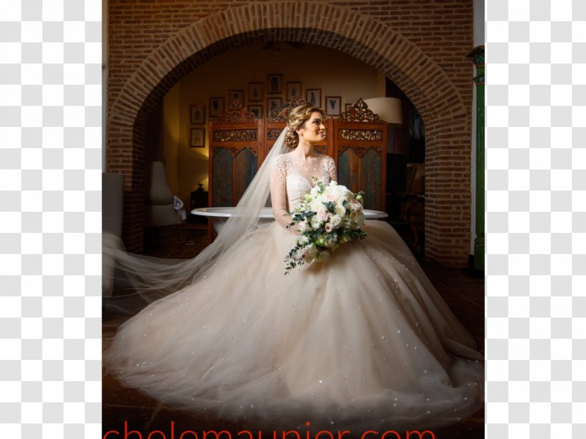 Wedding Dress Marriage Bride Gown - United States Dollar Transparent PNG