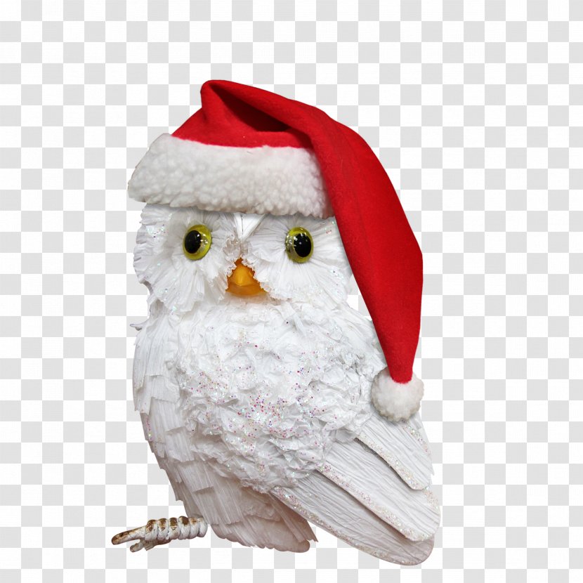 Owl Bird Santa Claus Christmas - Of Prey Transparent PNG