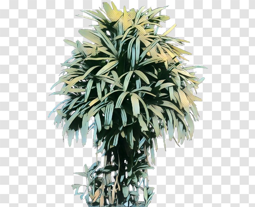 Palm Trees Flowerpot Houseplant - Tree - Leaf Transparent PNG
