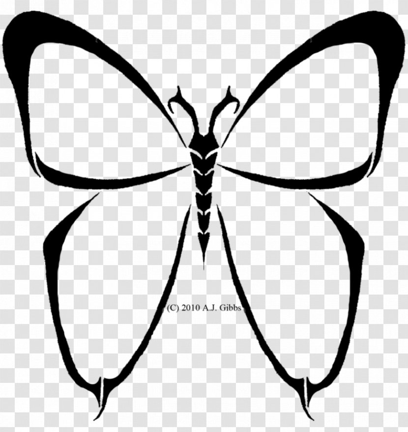Brush-footed Butterflies Butterfly Insect Line Art Clip - White Transparent PNG