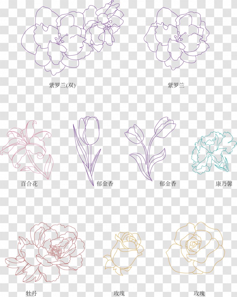 Floral Design Visual Arts Illustration Product - Flower - Arabesque Transparent PNG