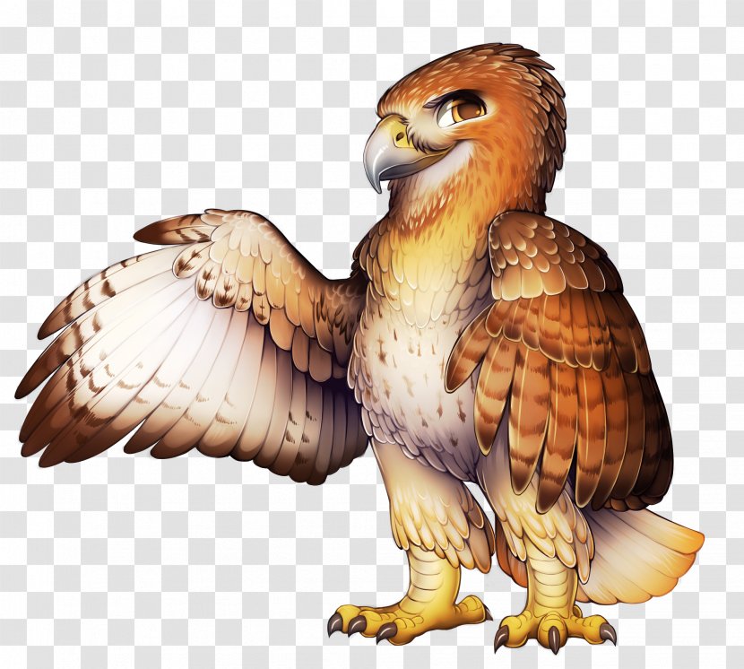Eagle Red-tailed Hawk El Halcon De Cola Roja Furry Fandom - Wildlife Transparent PNG
