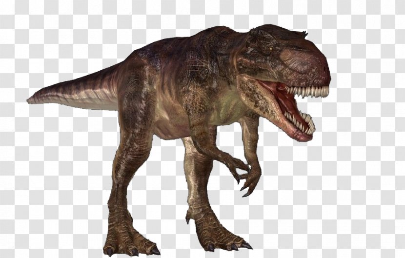 Carnivores: Dinosaur Hunter Carcharodontosaurus Giganotosaurus Tyrannosaurus Spinosaurus - Yutyrannus Transparent PNG