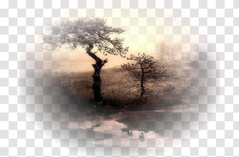 Cloud Water Fog Desktop Wallpaper - Animaatio Transparent PNG