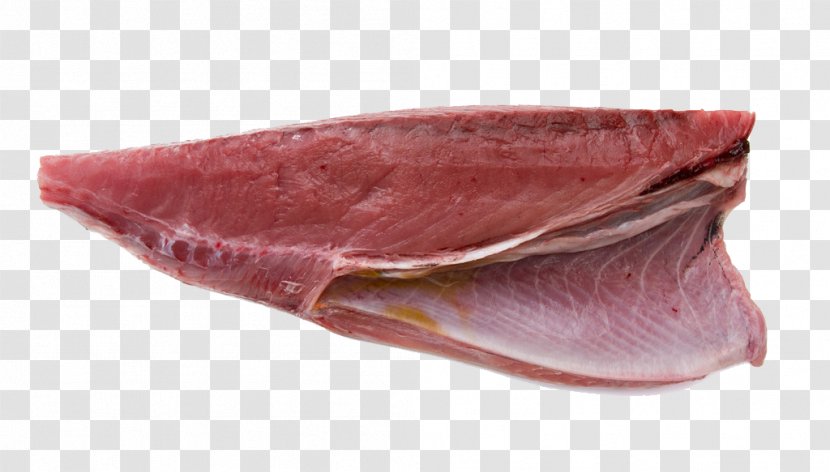 Thunnus Sushi Sashimi Japanese Cuisine Fish - Atlantic Bluefin Tuna - A Transparent PNG