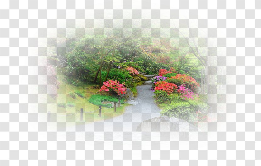 Nature Desktop Wallpaper Landscape Tree Computer Transparent PNG